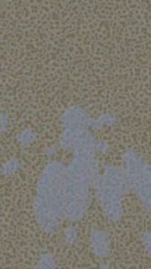 Lüks hareket tasarımı üst düzey video projeleri ve dijital sanat için zarif, pürüzsüz bir dokusu var.