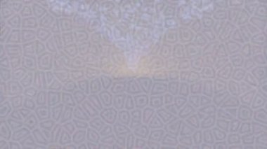 Yaratıcı video düzenleme film tasarımı için benzersiz hareket grafikleri biçimi giriş hareketi video pro