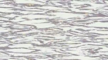 Lüks hareket tasarımı üst düzey video projeleri ve dijital sanat için zarif, pürüzsüz bir dokusu var.