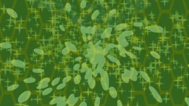 Yaratıcı video düzenleme film arkaplan tasarımı için minimalist organik hareket grafikleri