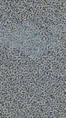 Yaratıcı video düzenleme film tasarımı için benzersiz hareket grafikleri biçimi giriş hareketi video pro