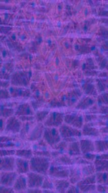 Yaratıcı video düzenleme film tasarımı için benzersiz hareket grafikleri biçimi giriş hareketi video pro