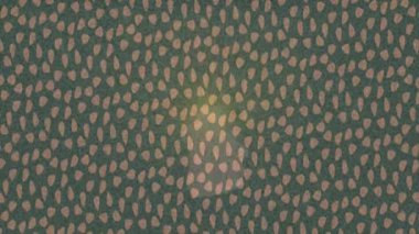 Benzersiz dijital hareket grafiklerine sahip yaratıcı sinematik projeler için yumuşak animasyon yüzeyi