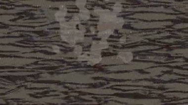 Yaratıcı video düzenleme film arkaplan tasarımı için minimalist organik hareket grafikleri