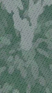 Lüks hareket tasarımı üst düzey video projeleri ve dijital sanat için zarif, pürüzsüz bir dokusu var.