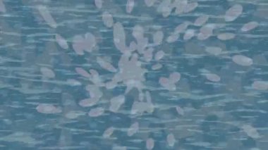 Soyut hareket desenli fütüristik video üretimi için dinamik dijital arkaplan