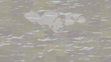 Profesyonel video projeleri sanat tarzı için organik hareketli arkaplan tasarımı