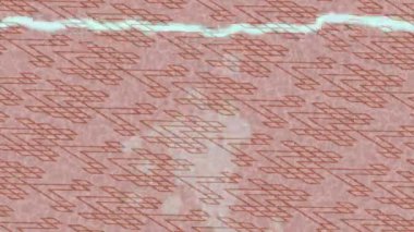 Profesyonel video projeleri sanat tarzı için organik hareketli arkaplan tasarımı