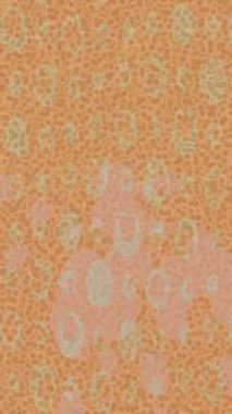 Profesyonel video projeleri sanat tarzı için organik hareketli arkaplan tasarımı