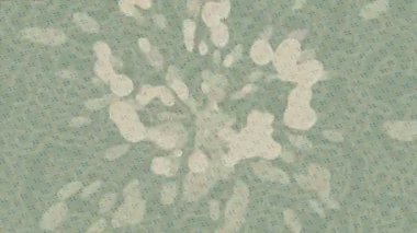 Organik desenli yüzey giriş stili video film sanatı ile soyut arkaplan tasarımı