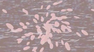 Lüks hareket tasarımı üst düzey video projeleri ve dijital sanat için zarif, pürüzsüz bir dokusu var.