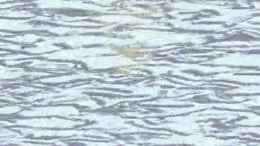 Benzersiz hareket dokusu tasarım sanatı ile profesyonel video düzenleme için modern soyut grafikler