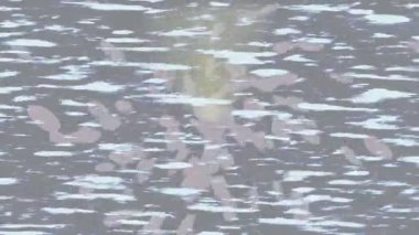 Soyut hareket desenli fütüristik video üretimi için dinamik dijital arkaplan