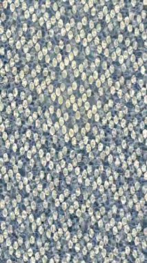 Yaratıcı video düzenleme film tasarımı için benzersiz hareket grafikleri biçimi giriş hareketi video pro