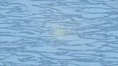 Dijital doku yüzey tasarım biçimi ile modern video animasyonu için gelişmiş hareket grafikleri