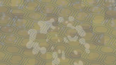 Dijital doku yüzey tasarım biçimi ile modern video animasyonu için gelişmiş hareket grafikleri