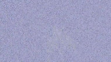 Profesyonel video projeleri sanat tarzı için organik hareketli arkaplan tasarımı