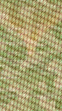 Yaratıcı video düzenleme film arkaplan tasarımı için minimalist organik hareket grafikleri