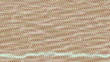 Benzersiz video giriş tasarımı projeleri için detaylı yüzey kalıbı film animasyon stili grafik girişi