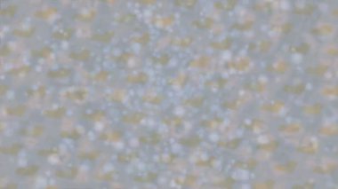 Benzersiz dijital hareket grafiklerine sahip yaratıcı sinematik projeler için yumuşak animasyon yüzeyi