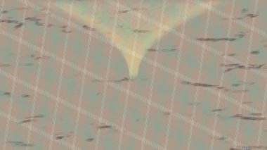 Organik desenli yüzey giriş stili video film sanatı ile soyut arkaplan tasarımı