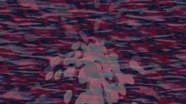 Benzersiz dijital hareket grafiklerine sahip yaratıcı sinematik projeler için yumuşak animasyon yüzeyi