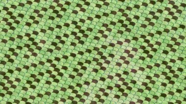 Lüks hareket projeleri için soyut tasarım stili animasyonu olan üst düzey dijital doku