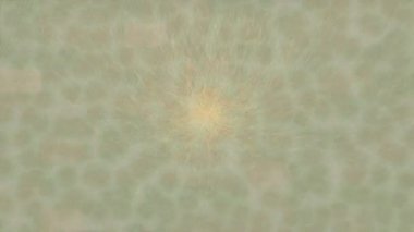 Benzersiz dijital hareket grafiklerine sahip yaratıcı sinematik projeler için yumuşak animasyon yüzeyi