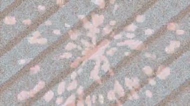 Benzersiz dijital hareket grafiklerine sahip yaratıcı sinematik projeler için yumuşak animasyon yüzeyi