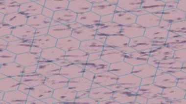 Organik desenli yüzey giriş stili video film sanatı ile soyut arkaplan tasarımı