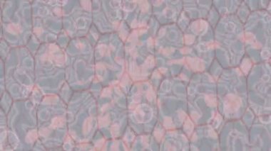 Benzersiz hareket grafikleri tasarım sanatına sahip yaratıcı film üretimi için özet bir arkaplan