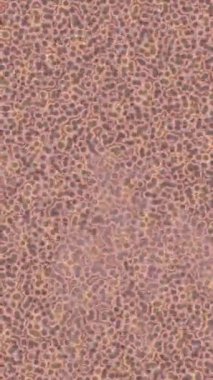 Benzersiz dijital animasyon tarzı grafikleri olan yaratıcı ortam tasarımı için yenilikçi hareket dokusu