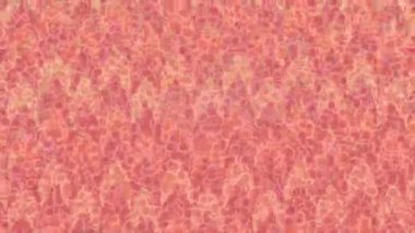 Profesyonel video projeleri sanat tarzı için organik hareketli arkaplan tasarımı