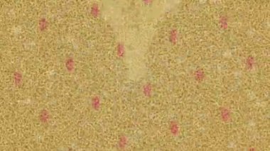 Dijital doku yüzey tasarım biçimi ile modern video animasyonu için gelişmiş hareket grafikleri