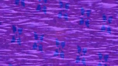 Estetik doku arkaplan tasarımı renkli hareket grafikleri ile moda film giriş profosyoneli