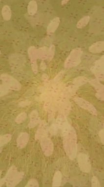 Dijital doku yüzey tasarım biçimi ile modern video animasyonu için gelişmiş hareket grafikleri