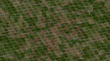 Benzersiz dijital hareket grafiklerine sahip yaratıcı sinematik projeler için yumuşak animasyon yüzeyi