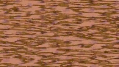 Yaratıcı video düzenleme film tasarımı için benzersiz hareket grafikleri biçimi giriş hareketi video pro