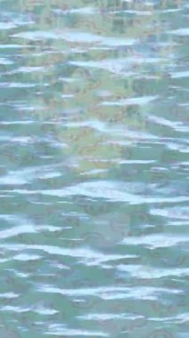 Yaratıcı video düzenleme film arkaplan tasarımı için minimalist organik hareket grafikleri