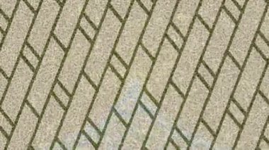 Soyut hareket desenli fütüristik video üretimi için dinamik dijital arkaplan