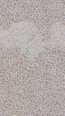 Benzersiz hareket grafikleri tasarım sanatına sahip yaratıcı film üretimi için özet bir arkaplan