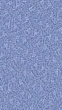 Benzersiz video giriş tasarımı projeleri için detaylı yüzey kalıbı film animasyon stili grafik girişi