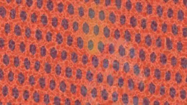 Benzersiz video giriş tasarımı projeleri için detaylı yüzey kalıbı film animasyon stili grafik girişi