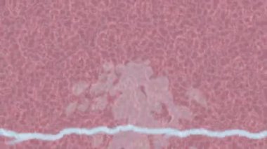 Dijital doku yüzey tasarım biçimi ile modern video animasyonu için gelişmiş hareket grafikleri