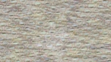 Soyut hareket desenli fütüristik video üretimi için dinamik dijital arkaplan