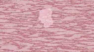 Profesyonel video projeleri sanat tarzı için organik hareketli arkaplan tasarımı