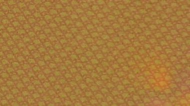 Lüks hareket tasarımı üst düzey video projeleri ve dijital sanat için zarif, pürüzsüz bir dokusu var.