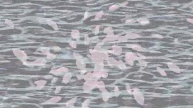 Benzersiz video giriş tasarımı projeleri için detaylı yüzey kalıbı film animasyon stili grafik girişi