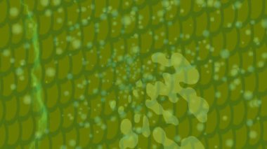 Yaratıcı video düzenleme film arkaplan tasarımı için minimalist organik hareket grafikleri