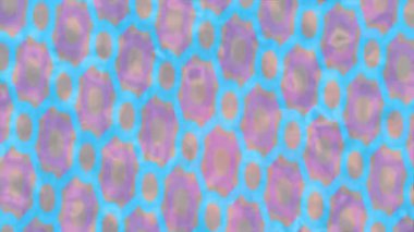 Benzersiz dijital hareket grafiklerine sahip yaratıcı sinematik projeler için yumuşak animasyon yüzeyi